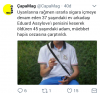 sigara içiyor diye arkadaşının penisini kesen adam / #1604805