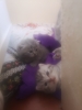 devamlı kedi fotoğrafı paylaşan tip / #2024164