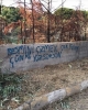 gecenin duvar yazısı / #1509398