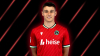 hannover 96 / #2431864