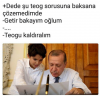 teog un kaldırılması / #1534081