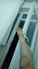 sözlük erkeklerinin fotoğrafları / #1499388
