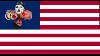 amerikan bayrağı