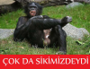 ses kaydeden erkeklerin ateist tefeciye özenmesi / #1296023