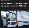 tarla faresi yerine yanlışlıkla yengeyi öldürmek / #1616206