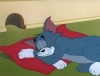 tom ve jerry de tomun adam olması / #2305541