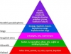 maslow tarikatı / #1269008