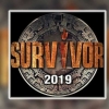 survivor 2019
