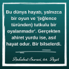 ahiret / #2427160