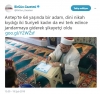 imamların reklamcı olması / #1639016