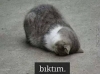 sıkılmak daralmak bunalmak / #1480307