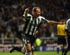 alan shearer