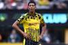borussia dortmund formaları