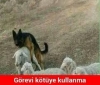 gırtlağa kadar vergi yükü altında olmamız / #1930456