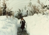 1987 istanbul kışı