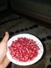ders çalışırken anneden gelen ikramlar / #1745386