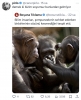 evrim teorisini çökerten gerçekler / #2364523