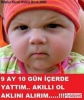 gece komşudan gelen evet evet çığlıkları / #1521263