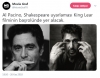 king lear / #1768651