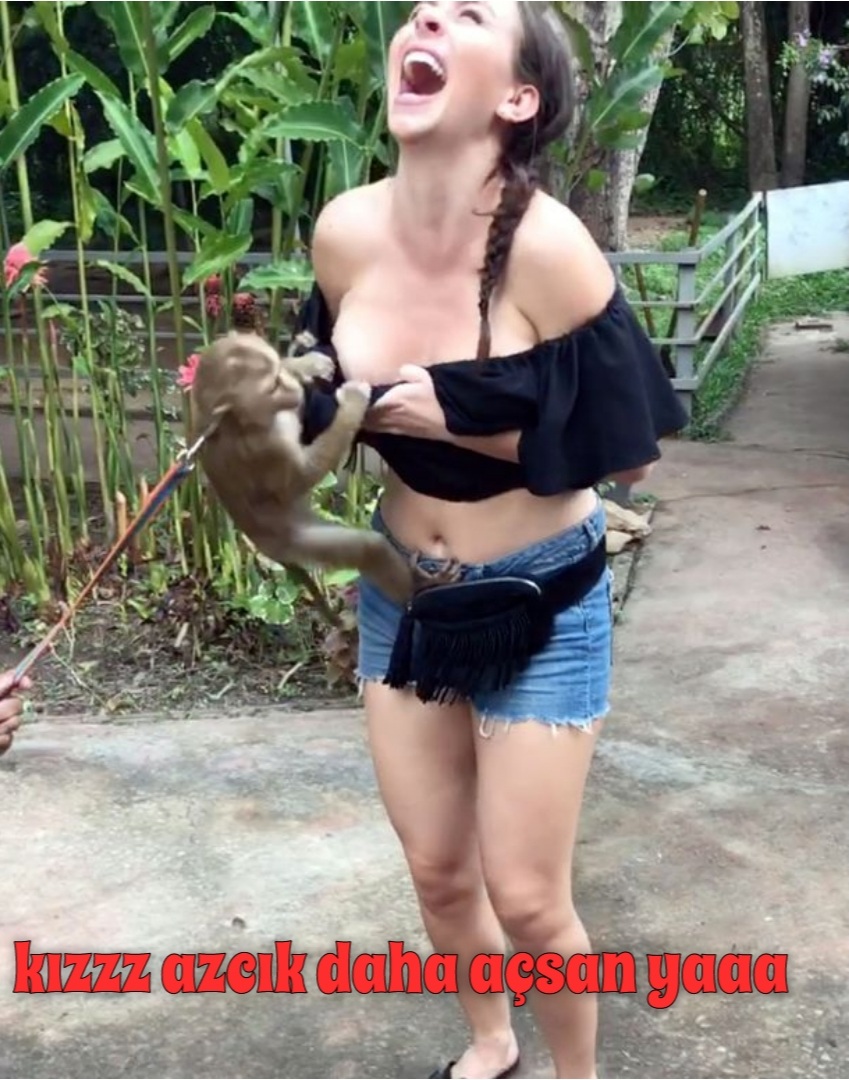 Monkey Escorts