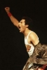 freddie mercury dünyanın en iyi vokalidir / #1458757