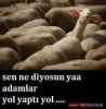 köbrü yaptığ yol yabtığ yavv vatan haini it / #1260078