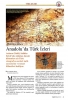 anadolu en az 7 bin yıldır türk yurdudur / #1764752