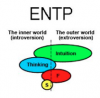 entp