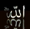 allah / #2425922