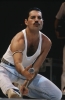 freddie mercury dünyanın en iyi vokalidir / #1458741