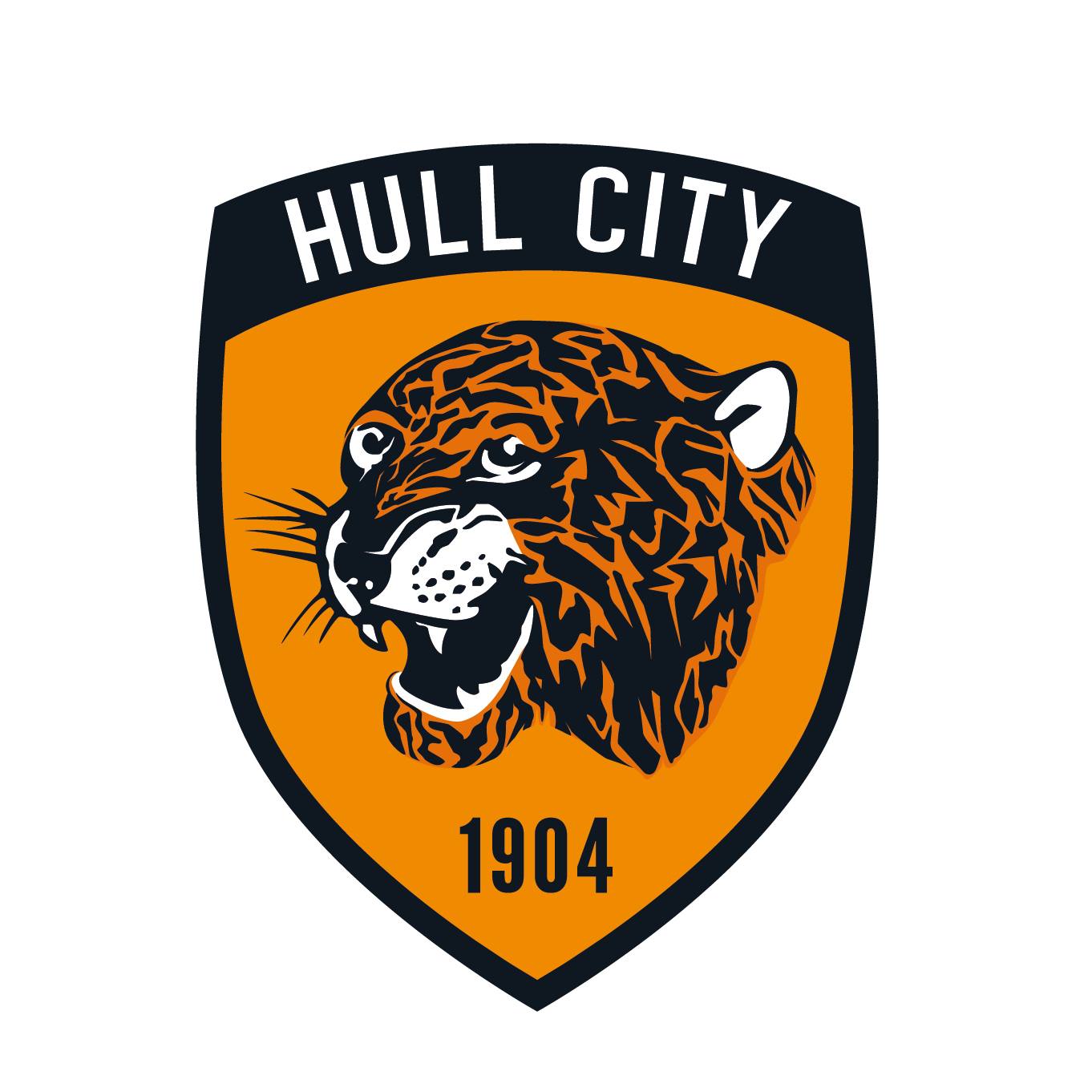 hull city 2247724 uludağ sözlük galeri