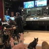 kedi seven erkeklerin ılık olması / #1580310