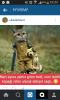 mart bitmemiş gibi cinselliğe devam kedi / #1026768