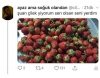 bir çiçekle mutlu olabilen kız / #1925865