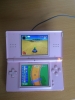 nintendo ds lite