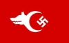 nusaybin de ilan edilen öz yönetimin fotoğrafı / #1078685