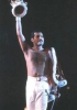 freddie mercury