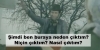 bursa mitinginde hoşçakal sakarya demek / #1692908