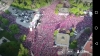 22 haziran 2018 muharrem ince ankara mitingi / #1697749