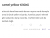 erdoğan dan chp lideri özgür özel e 300 jet cevabı / #2443176