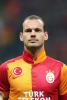 wesley sneijder