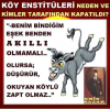 bineceğim eşek benden akıllı olmamalı