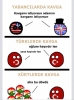 kürtlerin iyi olduğu konular / #1652702