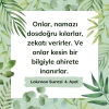 lokman suresi / #2214838