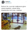 oyun istiyor abisi denilen köpek