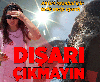 sözlük kızlarına açık ikaz / #2363545