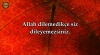 allah dilemedikce siz dileyemezsiniz / #2303907