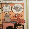 kedi besleyen insan evi