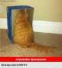 sözlük erkeklerinin fotoğrafları / #1333712
