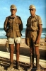 afrika korps / #1196239